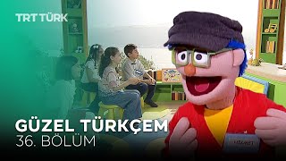 Güzel Türkçem 36 Bölüm [upl. by Enrica]