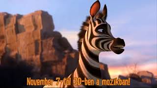 Khumba  gyerekfilm mozifilm előzetes gyerekeknek x [upl. by Eelarual]