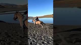 Where should I go next 🤠🙌🏻 cowgirl adventure horse shorts viral [upl. by Purvis]