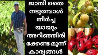 ജാതി തൈ തിരഞ്ഞെടുക്കുമ്പോൾ ശ്രദ്ധിക്കേണ്ട കാര്യങ്ങൾ [upl. by Yduj]