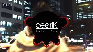 Peter Schilling  Major Tom cedriK Techno Remix [upl. by Ardolino398]