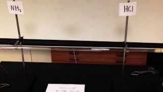 Grahams Law of Diffusion large glass tube demo [upl. by Pilloff337]