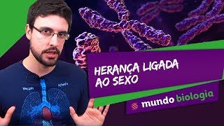 🧬 Genética 68 Herança ligada ao sexo  Biologia  ENEM [upl. by Nitas771]