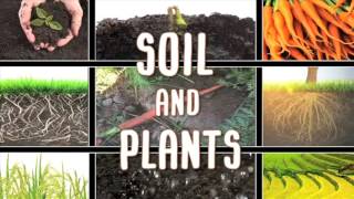 All About soil [upl. by Agnola]