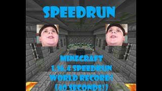 MINECRAFT 1164 RANDOM SEED SPEEDRUN WORLD RECORD 40 SECONDS [upl. by Leummas]