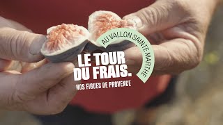 Grand Frais  Le Tour du Frais avec Jean producteur de figues [upl. by Hercule996]