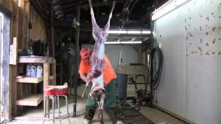 NEW World Record Deer Skinner [upl. by Sew]