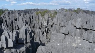 Tsingy de Bemaraha Strict Nature Reserve MelakySouth Africa [upl. by Cyrillus]