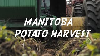 Manitoba Potato Harvest 2018 [upl. by Namharludba923]