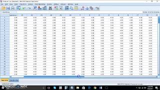 SPSS Research Analysis Tutorial StepbyStep Guide for Beginners [upl. by Yekcor]