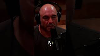 Most Men Live Lives of Quiet Desperation joerogan [upl. by Kiernan697]