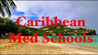 Should YOU Go To A Caribbean Med School [upl. by Eselahs]