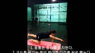 수영지상훈련 Dryland Training  광배근 제대로 작동시키기  For Swimmer Freestyle Swimming Swimming Workout [upl. by Assele259]