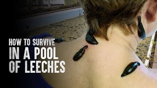 How to Survive a Pool of Leeches [upl. by Hazeefah]