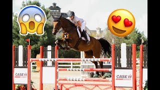 Best Horse Breeds Used for Show Jumping [upl. by Nylac]