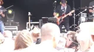 Miller Anderson Burg Herzberg Festival 2016 Live HD [upl. by Aem]