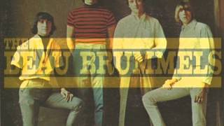 The Beau Brummels • Still In Love With You Baby US 1965 [upl. by Hatcher]