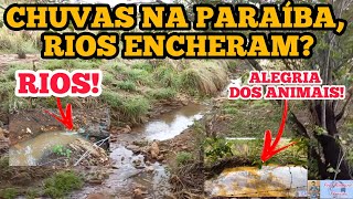 CHUVAS NA PARAÍBA FAZEM CORREGOS CORREREM PARA A BARRAGEM DE ENG ÁVIDOS professor nordeste [upl. by Attenauq]