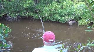 Fishing the Chartreuse Dahlberg Diver Fly [upl. by Alyahs452]