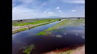 SalidasDeEmergencia Lago de Texcoco ¿promesa para el Valle de México ¿Qué pasa con las lluvias [upl. by Ivers228]