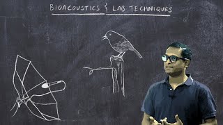 Basic Ornithology Bioacoustics and Laboratory Techniques [upl. by Waverly482]