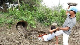 Anaconda Attack Fishing Boy In Amazon Forest  Anaconda attack Video  Fun Made Movie [upl. by Ardussi345]