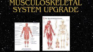 Musculoskeletal System Upgrade  Morphic Field FORCED [upl. by Pentheas]