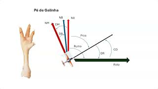 Exercício Pé de Galinha [upl. by Novaj]