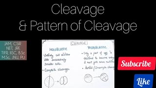 Pattern Of Cleavage Of Zygote Holoblastic amp Meroblastic cleavage [upl. by Inavoj]