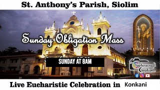 Fr Franciscos Farewell Mass Live at 8am on Sunday 26th May 2024  St Anthonys Church Siolim [upl. by Melvena]