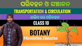 Transportation and Circulation in plants  Class 10 botany chapter3 in odia [upl. by Burk]