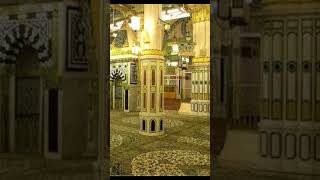 Rauja pak ilovemadinasharif islamicvideo shorts foryou [upl. by Hewett]