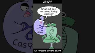 CRISPR  Amoeba Sisters Shorts biology biotechnology science [upl. by Eelyrag]