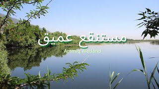 من اجمل المناظر في لبنان مستنقعات محمية Ammeq wetland Lebanon عميق [upl. by Haidej]