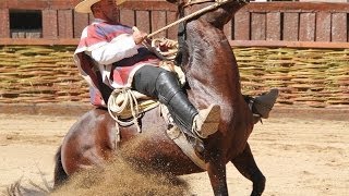 CAMPEONATO NACIONAL MASCULINO MOVIMIENTO DE LA RIENDA 2014 [upl. by Kroll]