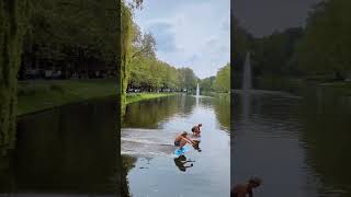 Skimboarders Race Across a Canal [upl. by Aprile]