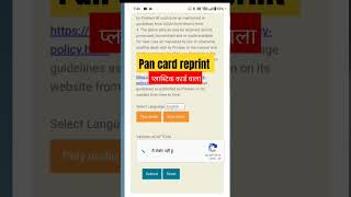 pan card reprintpan card reprint kaise kare reprint pan card nsdl portal [upl. by Caassi70]