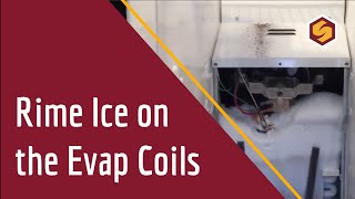 Amana SidebySide Evaporator Covered in Rime Ice [upl. by Navap]