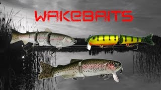 Wakebait Tricks to Catch Bigger Bass [upl. by Adihahs]