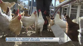 Orange City Woman Battles City To Keep Her Emotional Support Chickens [upl. by Annekahs]