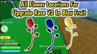 All Flower Locations in Blox Fruits To Get Race V2 2024  Blox Fruits Race V2 Flower Locations [upl. by Jaal]