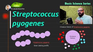 Streptococcus pyogenes  Bacitracin disk test  Microbiology  Bacteriology  Basic Science Series [upl. by Iraj758]