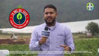 Programa La raíz del éxito Bayer  Tapalpa Jalisco [upl. by Thomsen]