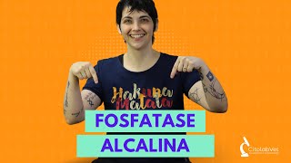 Fosfatase alcalina [upl. by Sibella914]