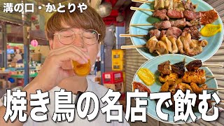 【溝の口】串焼き1本150円の大人気老舗酒場で最高の酒を飲んできた！【かとりや溝の口】 [upl. by Aitahs]