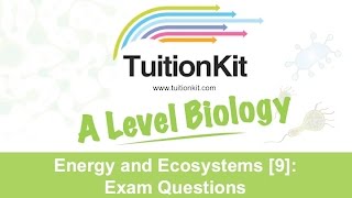 Energy an Ecosystems 9 Exam Questions High band Biology [upl. by Dolley357]