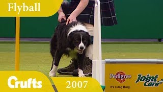 Flyball Final at Crufts 2007  Crufts Classics [upl. by Reba681]