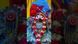 New Jagannath bhajan whatsapp status bhajan shortsvideo jagannath odiaopinion [upl. by Lunneta]