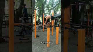 Planche calisthenics planche [upl. by Teevens]