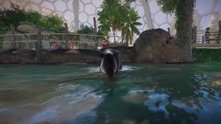 Bairds Tapir  Planet Zoo Animals [upl. by Dahs729]